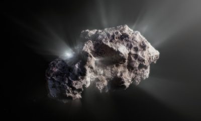 Interstellar visitor 2I/Borisov is the most pristine comet humans have studied