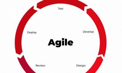 agile model for projects