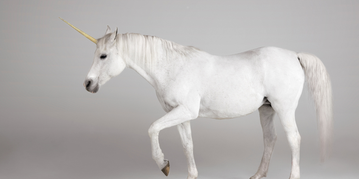Unicorns are ‘average’ now…but some things haven’t changed