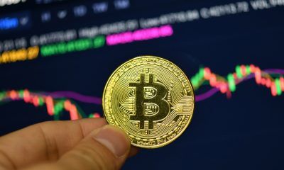 What happened Wednesday? Crypto proved surprisingly resilient