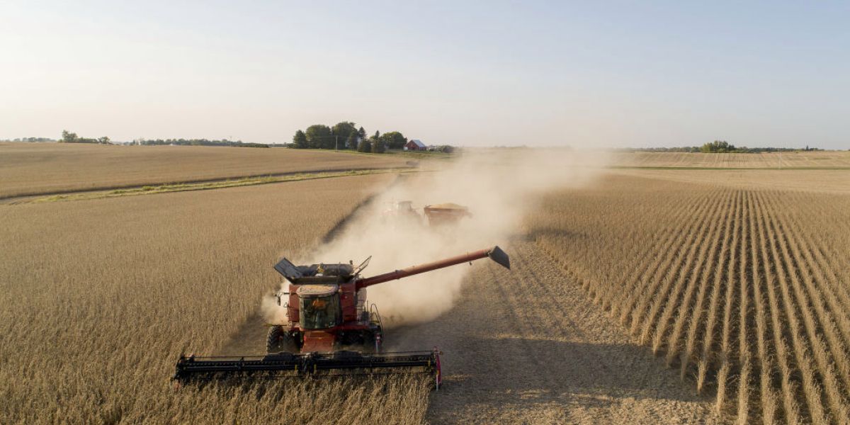 American farmers are having a bumper year—thanks to soaring demand from China
