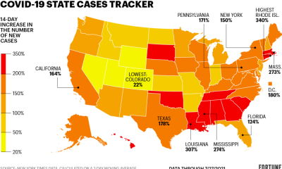The Delta variant is driving up COVID rates. See the states cases are rising the fastest