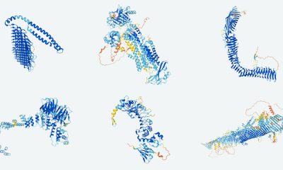 DeepMind says it will release the structure of every protein known to science