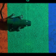 Chameleon-inspired robot skin changes colors instantly