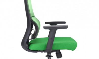 ergoal chair