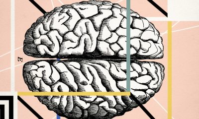 How big science failed to unlock the mysteries of the human brain