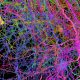 This is a map of half a billion connections in a tiny bit of mouse brain