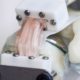 A robotic shoulder could make it easier to grow usable human tissue