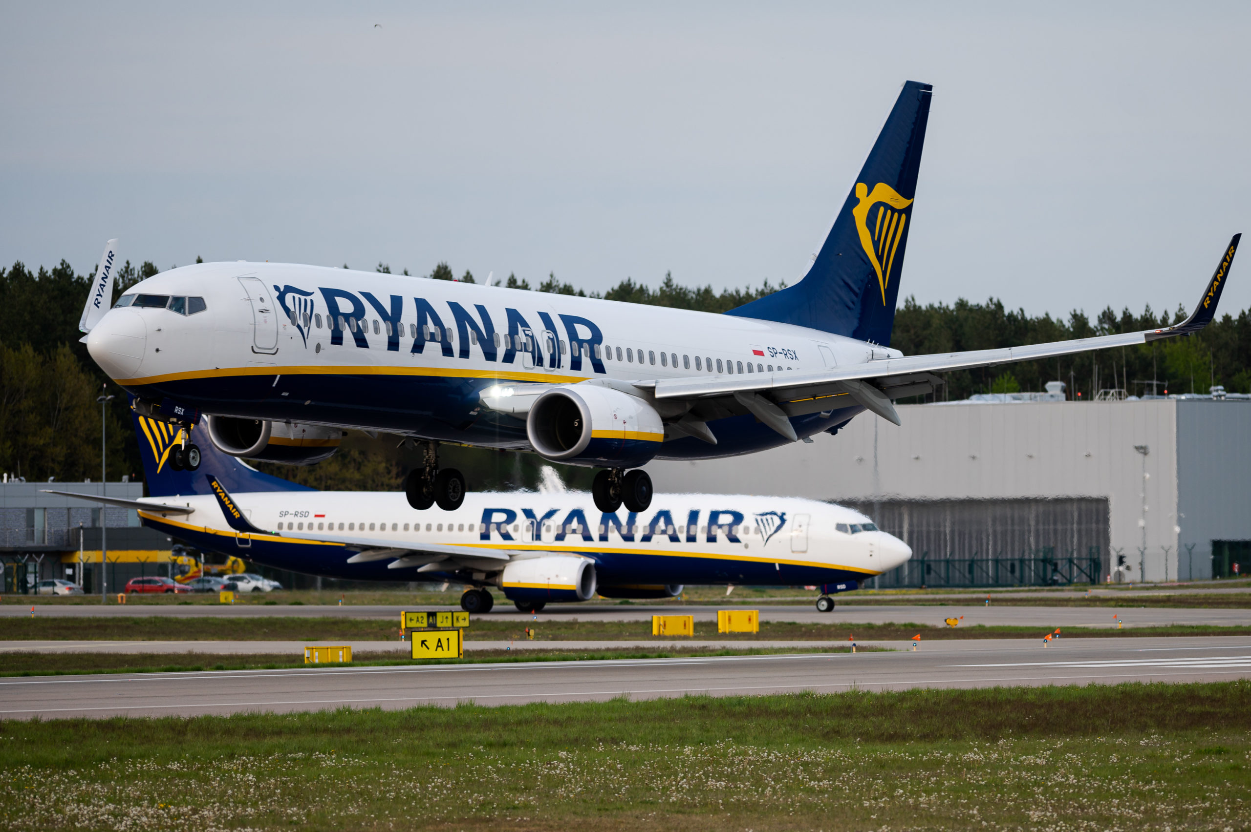 'Insane and discriminatory': Ryanair's Afrikaans questionnaire for traveling South Africans sparks backlash