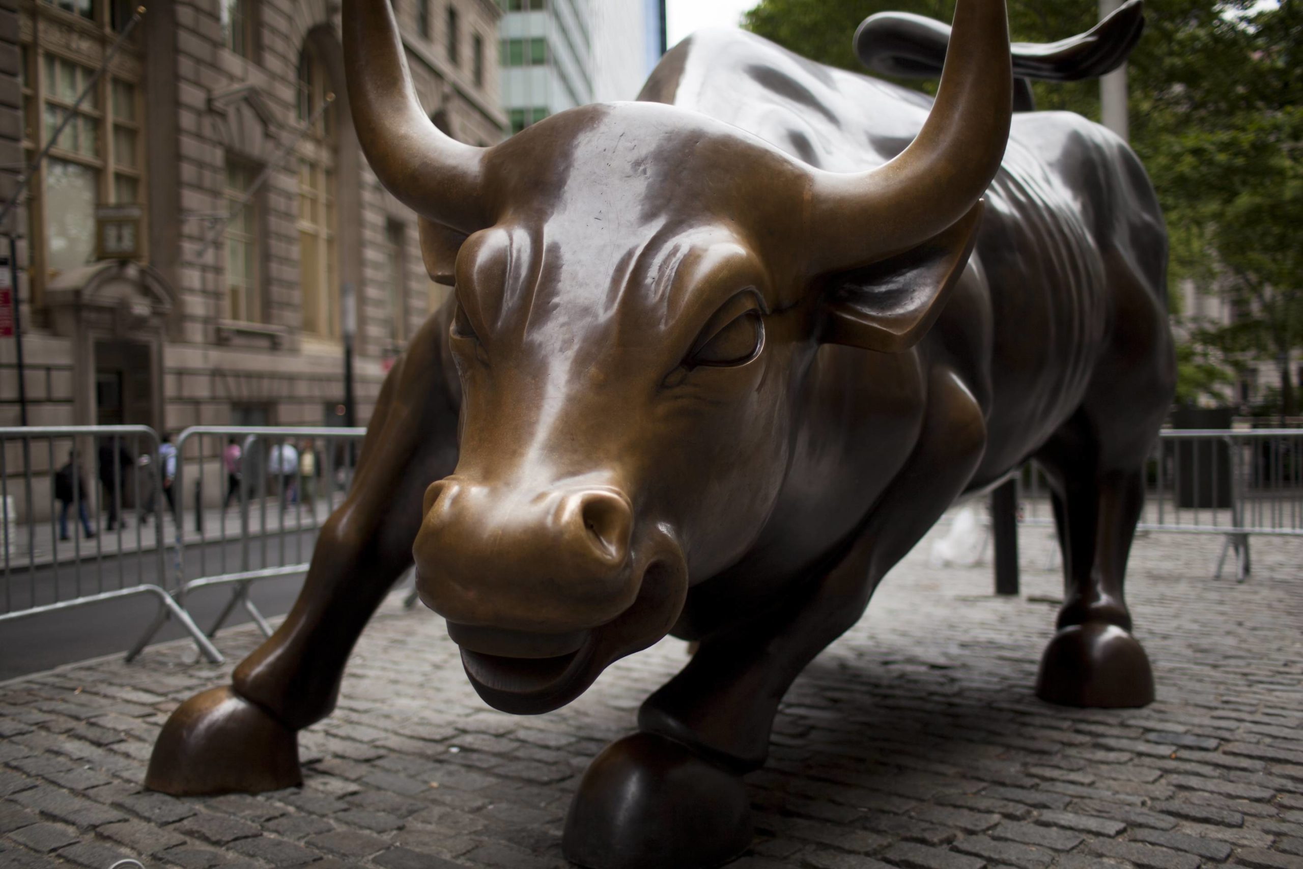 Wall Street is bearish—CEOs are bullish