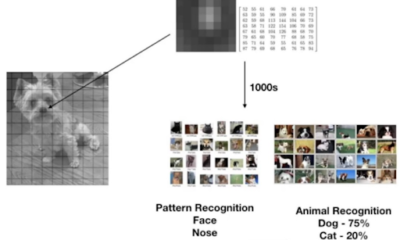 pet face recognition