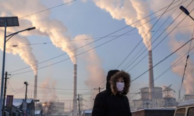 We need to draw down carbon—not just stop emitting it