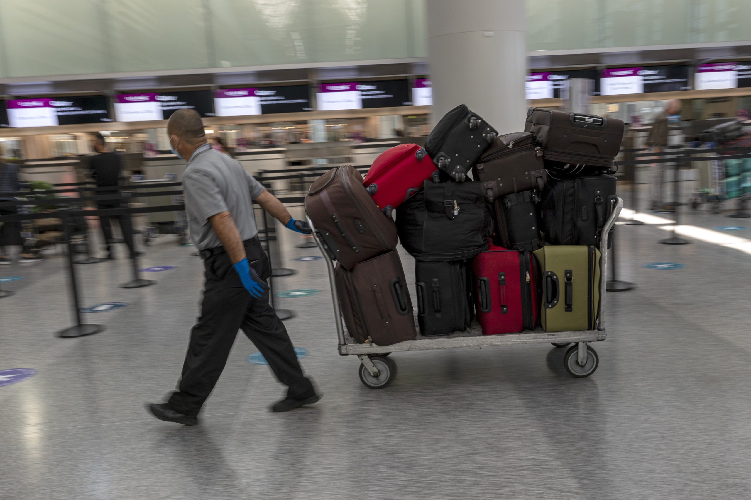 Australia's largest airline asks senior executives to help with lost luggages