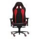 E-Win Champion Gaming Chair