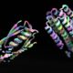 An AI that can design new proteins could help unlock new cures and materials 