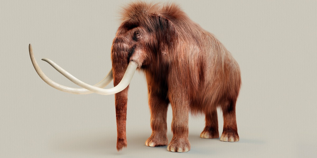 The Download: resurrecting mammoths, and the climate bill’s big flaw
