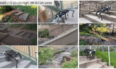 grid of clips of robot dog walking on stairs
