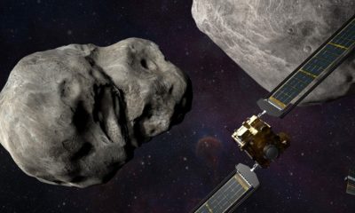 What’s in an asteroid