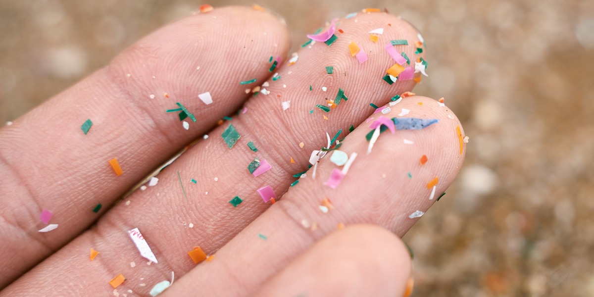 Microplastics are everywhere. What does that mean for our immune systems?