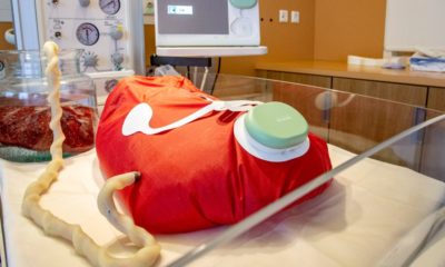 Everything you need to know about artificial wombs