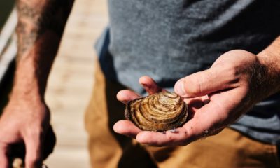 The Download: oyster aquaculture, and trusting AI with our bodies